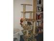 Xxl cat scratching post. Five level cat scratching post....