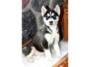 KC Siberian Husky Pups,  LIFETIME GUARANTEE