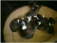 puppie staffs 4 sale