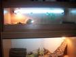 4x1.5x1.5 Vivarium for Sale