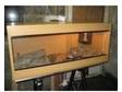 3ft beech viv setup. im selling my 3ft viv in beech made....