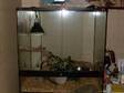 Exo-Terra Viv & Very Tame Royal Python. For Sale, ....