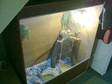 Iguana  large viv £160. I have for sale my iguana max....