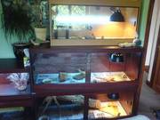 5ft vivarium