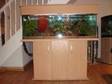 4ft fish tank 48 x 18 x 15 complete with beech 2 door....