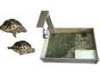 Uk cb 2009 herman tortoise only £75. I have herman....