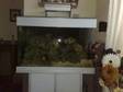 WANTED Aqua-medic marine aquarium full set-up pumps, ....