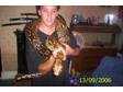 BREEDING TRIO of boa's 3 boa's for sale 2....