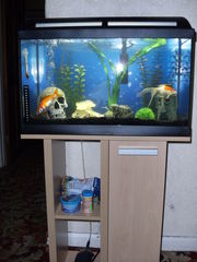 Marina 60 Fish Tank for sale