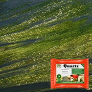 Blanket Weed & String Algae Treatment - Hydra Quartz