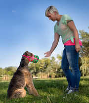 Buy Best Puppy Muzzle for Your Pet