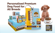 Soft & Wet Dog Foods : Ooddles Kitchen