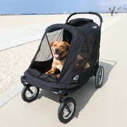 Stroller For a Dog