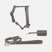 Vegan Dog Collar and Leashes