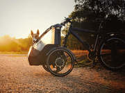 Dog Stroller UK