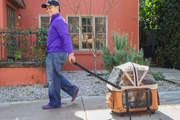 Big Dog Stroller