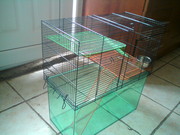 Gerbilarium for up to 3 gerbils